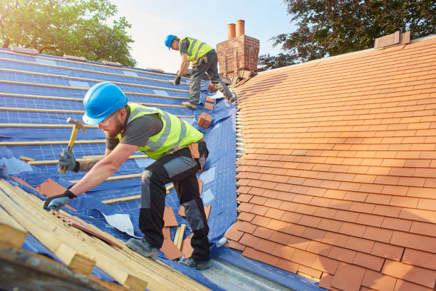 Steel Roofing in Weldon, NC